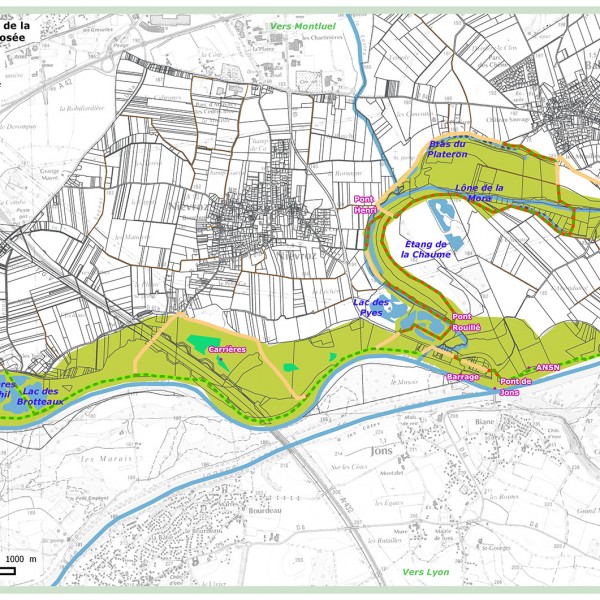 Carte du foncier